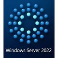 Microsoft Oem Software Server CAL 2022 ENG 1pk DSP OE OEMSVR22DCAL1PK